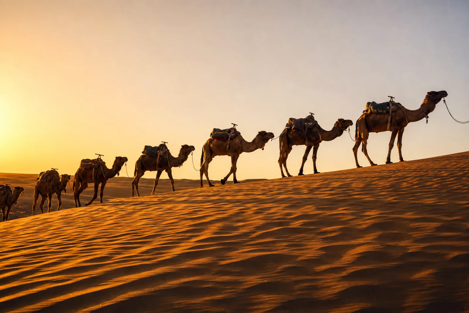 3-Day Merzouga Desert Adventure from Marrakech